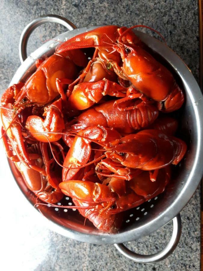 Kujanpaeae | Paajoen Vuokramoekit Hotell Himos Eksteriør bilde